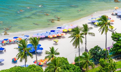 Aerial view of a beach with colorful umbrellas and lush palm trees, creating a tropical paradise.