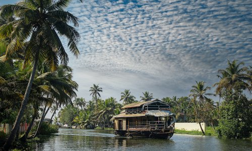 A boat sailing on a river surrounded by palm trees under a cloudy sky.